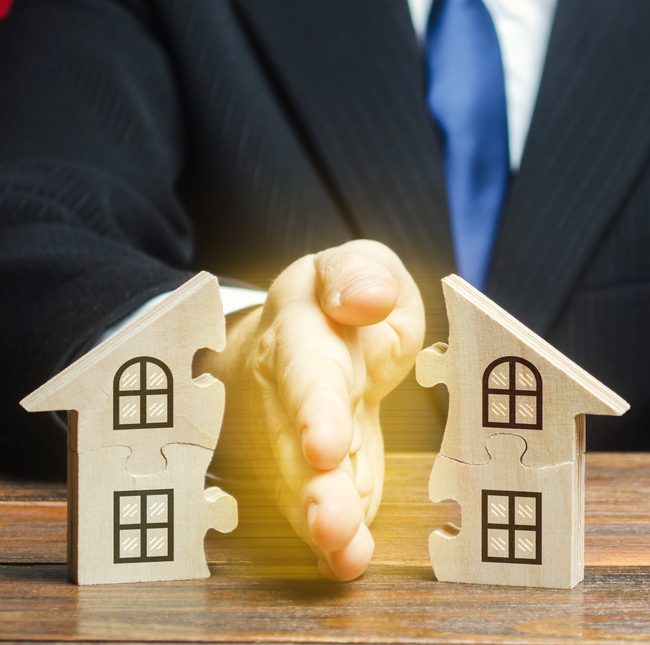 soybaginin reddi davasi