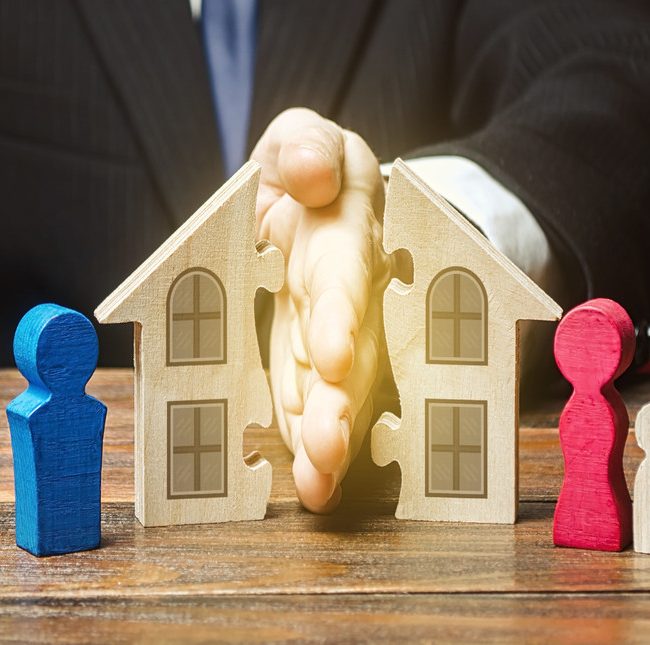 velayet ve vesayet davalari